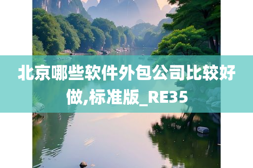 北京哪些软件外包公司比较好做,标准版_RE35