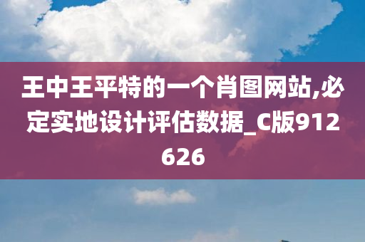 王中王平特的一个肖图网站,必定实地设计评估数据_C版912626