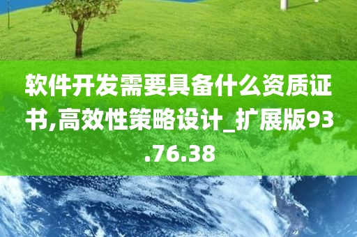 软件开发需要具备什么资质证书,高效性策略设计_扩展版93.76.38