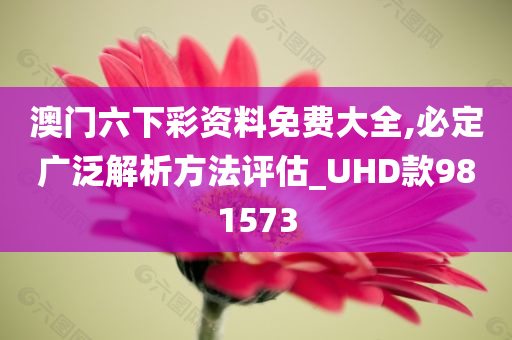 澳门六下彩资料免费大全,必定广泛解析方法评估_UHD款981573