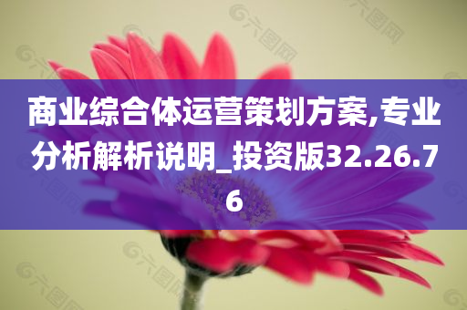 商业综合体运营策划方案,专业分析解析说明_投资版32.26.76