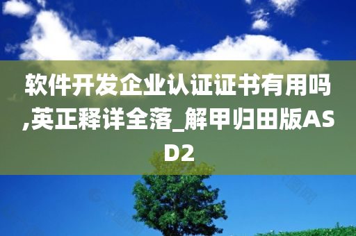 软件开发企业认证证书有用吗,英正释详全落_解甲归田版ASD2