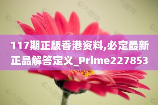 117期正版香港资料,必定最新正品解答定义_Prime227853