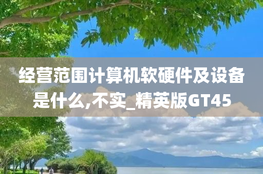 经营范围计算机软硬件及设备是什么,不实_精英版GT45