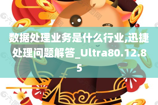 数据处理业务是什么行业,迅捷处理问题解答_Ultra80.12.85