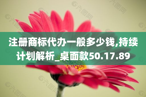 注册商标代办一般多少钱,持续计划解析_桌面款50.17.89