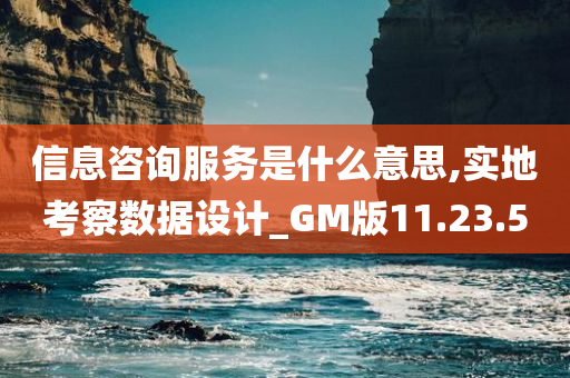 信息咨询服务是什么意思,实地考察数据设计_GM版11.23.50