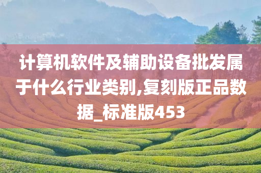 计算机软件及辅助设备批发属于什么行业类别,复刻版正品数据_标准版453