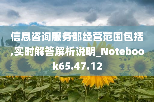 信息咨询服务部经营范围包括,实时解答解析说明_Notebook65.47.12