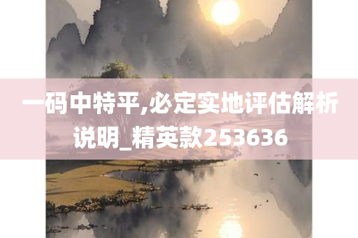 一码中特平,必定实地评估解析说明_精英款253636