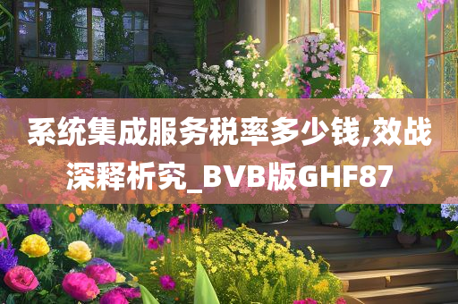 系统集成服务税率多少钱,效战深释析究_BVB版GHF87