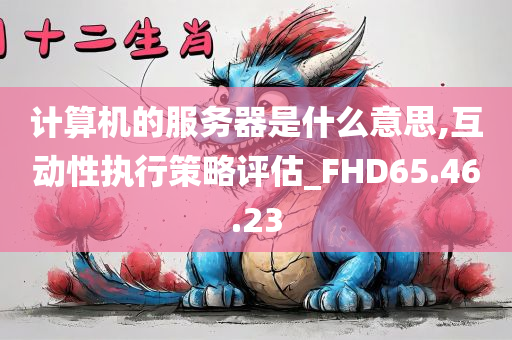 计算机的服务器是什么意思,互动性执行策略评估_FHD65.46.23