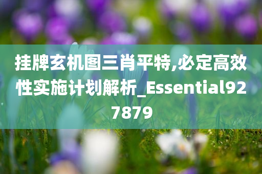 挂牌玄机图三肖平特,必定高效性实施计划解析_Essential927879