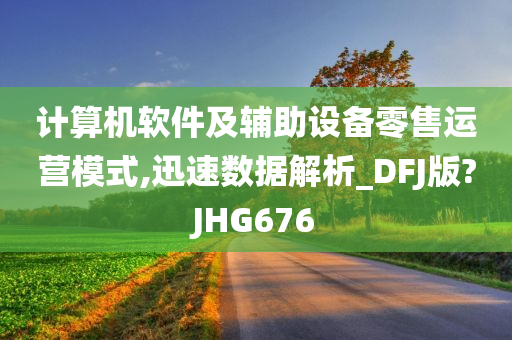 计算机软件及辅助设备零售运营模式,迅速数据解析_DFJ版?JHG676