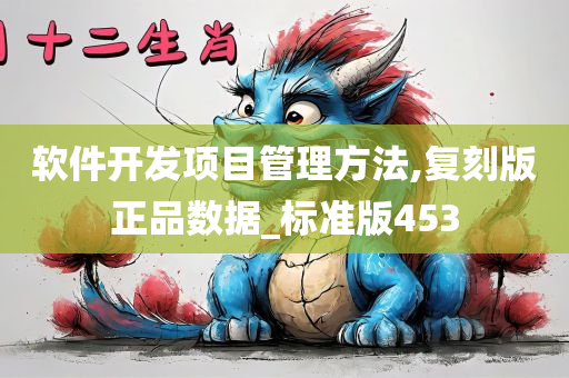 软件开发项目管理方法,复刻版正品数据_标准版453