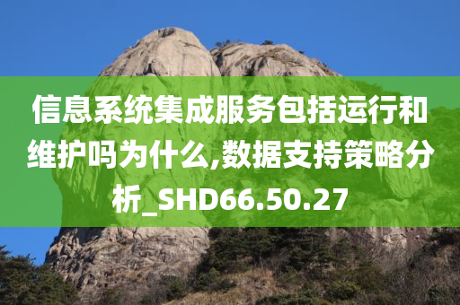 信息系统集成服务包括运行和维护吗为什么,数据支持策略分析_SHD66.50.27