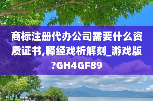 商标注册代办公司需要什么资质证书,释经戏析解刻_游戏版?GH4GF89