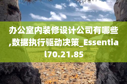 办公室内装修设计公司有哪些,数据执行驱动决策_Essential70.21.85