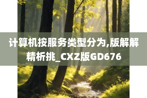 计算机按服务类型分为,版解解精析挑_CXZ版GD676