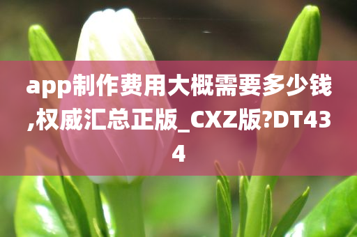 app制作费用大概需要多少钱,权威汇总正版_CXZ版?DT434