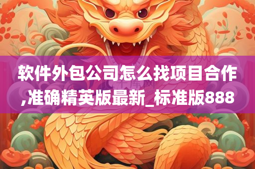 软件外包公司怎么找项目合作,准确精英版最新_标准版888