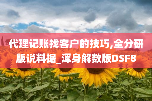 代理记账找客户的技巧,全分研版说料据_浑身解数版DSF8