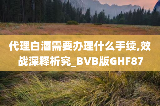 代理白酒需要办理什么手续,效战深释析究_BVB版GHF87