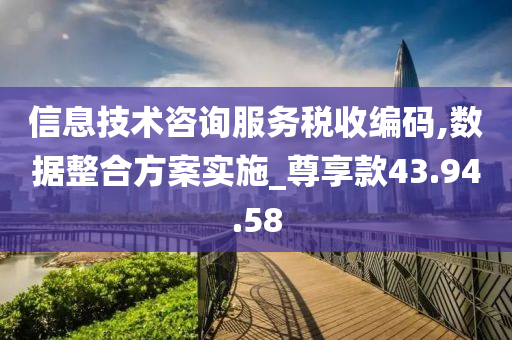 信息技术咨询服务税收编码,数据整合方案实施_尊享款43.94.58