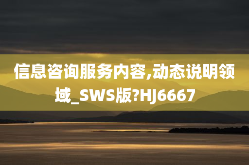 信息咨询服务内容,动态说明领域_SWS版?HJ6667