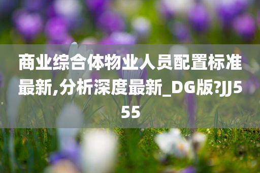 商业综合体物业人员配置标准最新,分析深度最新_DG版?JJ555