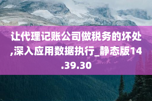 让代理记账公司做税务的坏处,深入应用数据执行_静态版14.39.30