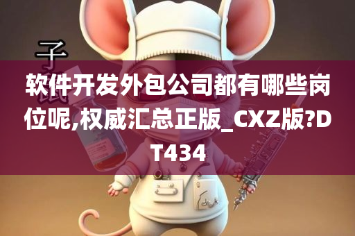 软件开发外包公司都有哪些岗位呢,权威汇总正版_CXZ版?DT434