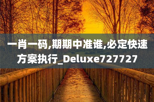 一肖一码,期期中准谁,必定快速方案执行_Deluxe727727