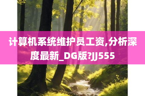 计算机系统维护员工资,分析深度最新_DG版?JJ555