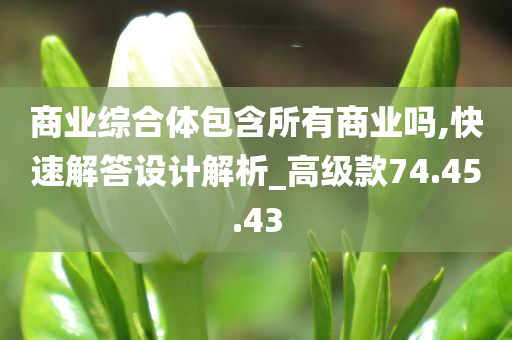 商业综合体包含所有商业吗,快速解答设计解析_高级款74.45.43