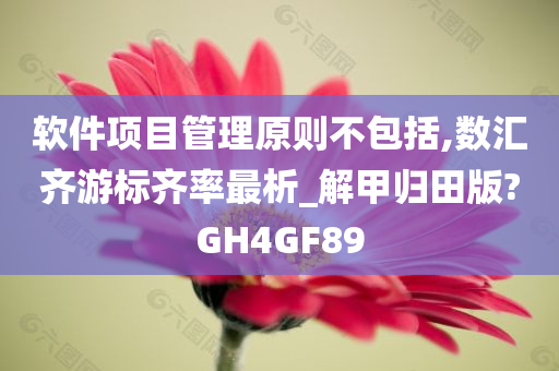 软件项目管理原则不包括,数汇齐游标齐率最析_解甲归田版?GH4GF89