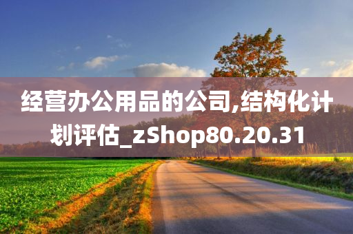 经营办公用品的公司,结构化计划评估_zShop80.20.31