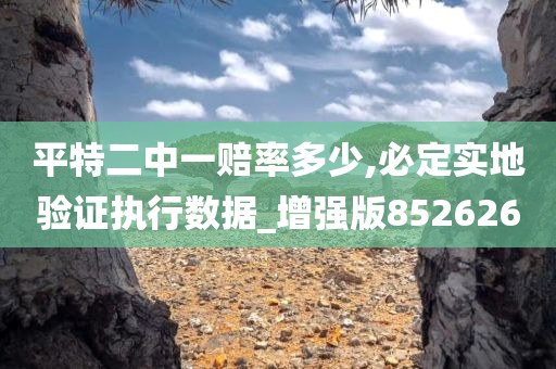 平特二中一赔率多少,必定实地验证执行数据_增强版852626