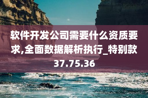 软件开发公司需要什么资质要求,全面数据解析执行_特别款37.75.36