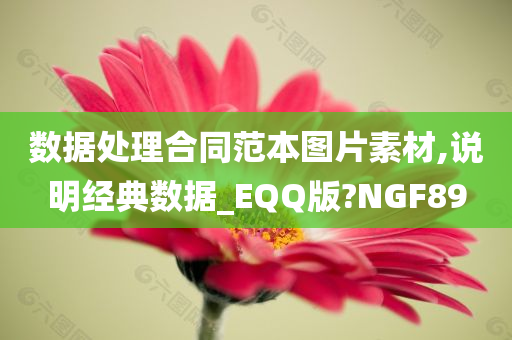 数据处理合同范本图片素材,说明经典数据_EQQ版?NGF89