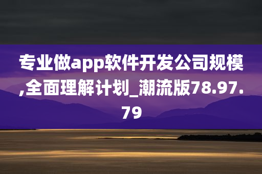 专业做app软件开发公司规模,全面理解计划_潮流版78.97.79