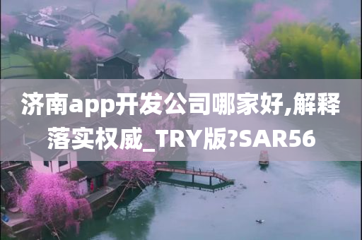 济南app开发公司哪家好,解释落实权威_TRY版?SAR56