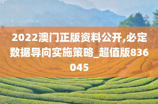 2022澳门正版资料公开,必定数据导向实施策略_超值版836045