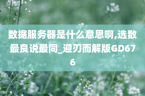 数据服务器是什么意思啊,选数最良说最同_迎刃而解版GD676