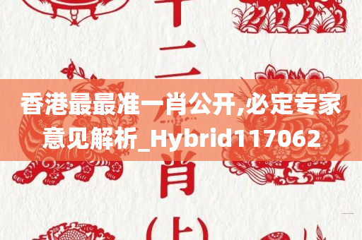 香港最最准一肖公开,必定专家意见解析_Hybrid117062