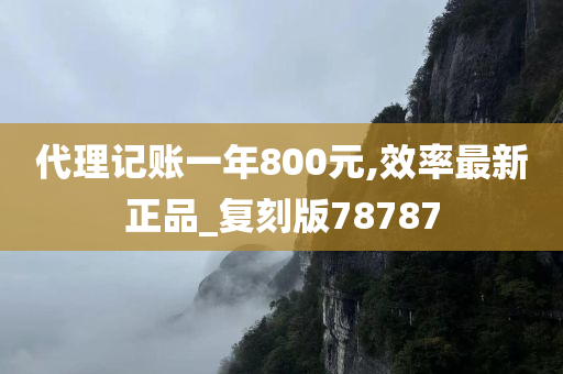 代理记账一年800元,效率最新正品_复刻版78787