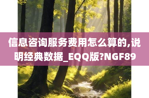 信息咨询服务费用怎么算的,说明经典数据_EQQ版?NGF89