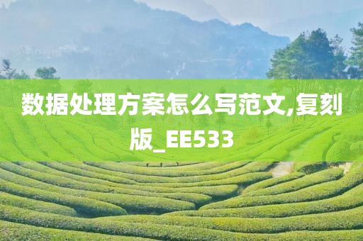 数据处理方案怎么写范文,复刻版_EE533