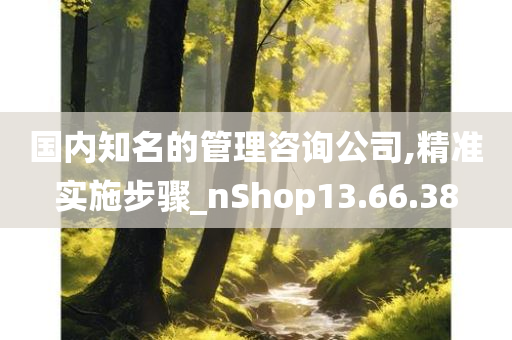 国内知名的管理咨询公司,精准实施步骤_nShop13.66.38