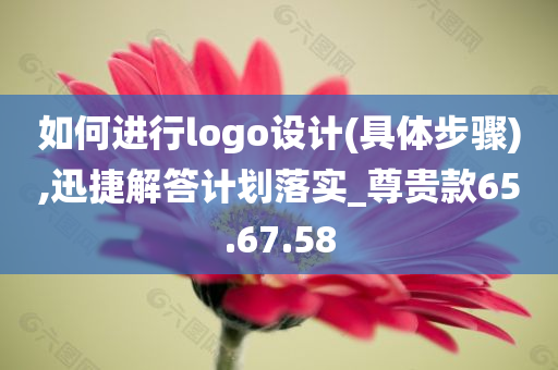 如何进行logo设计(具体步骤),迅捷解答计划落实_尊贵款65.67.58